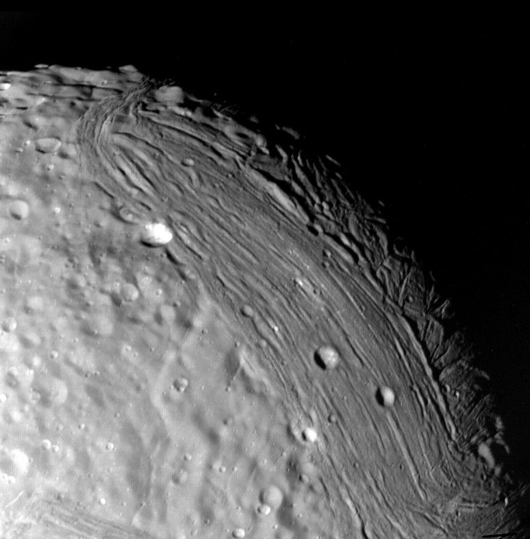 miranda